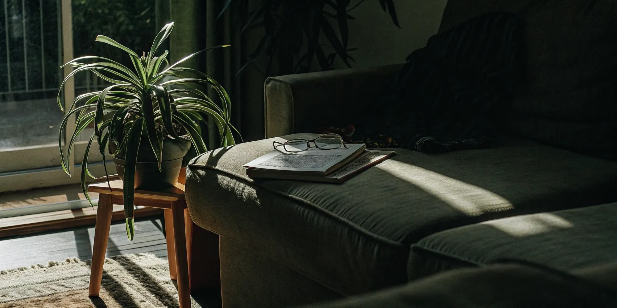 Renters Insurance in Missouri: What You Need to Know